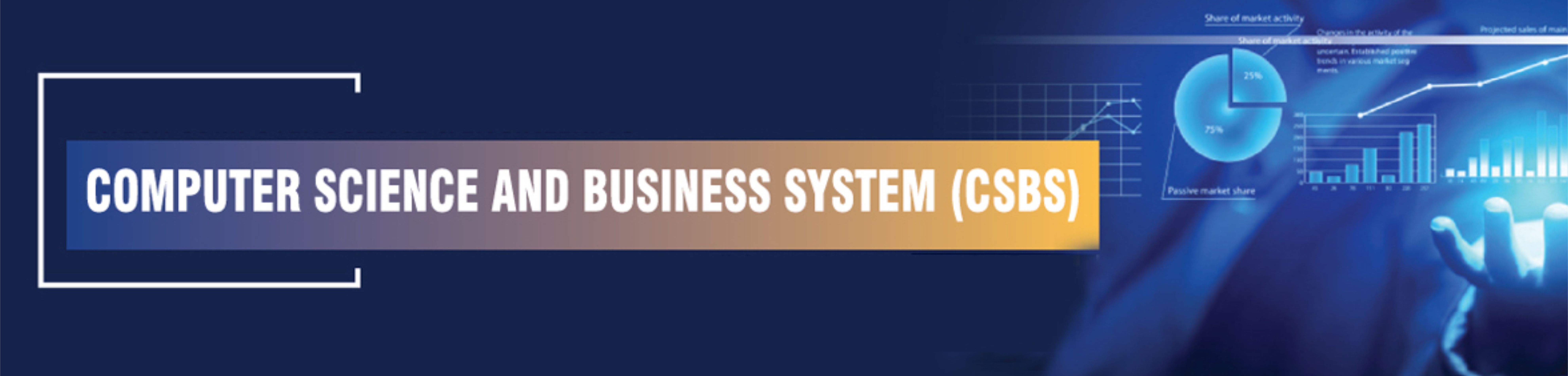 Computer Science and Business Systems