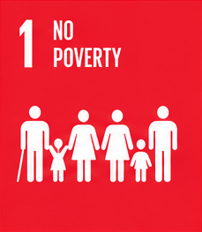 No Poverty